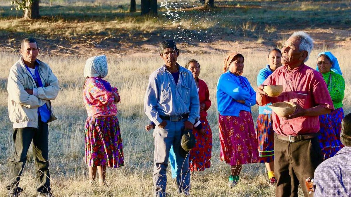 La historia de una familia que se vio forzada a dejar el lugar donde vivían a causa del narcotráfico protagoniza el documental mexicano ‘Cruz’ de Teresa Camou, un crudo relato de la violencia y la impunidad en el país hacia los pueblos indígenas.
