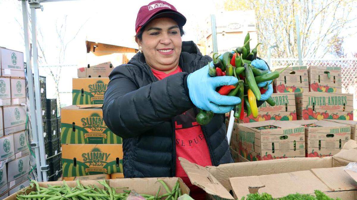 Myrna Elvir sorts chilies into boxes of food that were distributed to about 400 families who were impacted by flooding in Planada by the United Farm Workers. Elvir traveled from Lamont to join about two dozen UFW volunteers. The distribution took place March 26, 2023 at César E. Chávez Middle School.