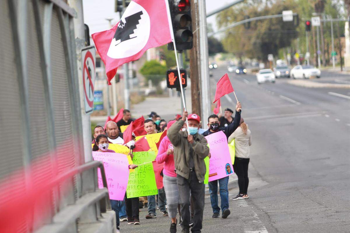 Decenas de trabajadores agrícolas de la Fundación UFW junto a líderes comunitarios y otros simpatizantes y aliados alzaron sus voces en una manifestación en el histórico centro comercial Plaza México la mañana del jueves 31 de marzo pidiéndole a Newsom su apoyo a la ley.