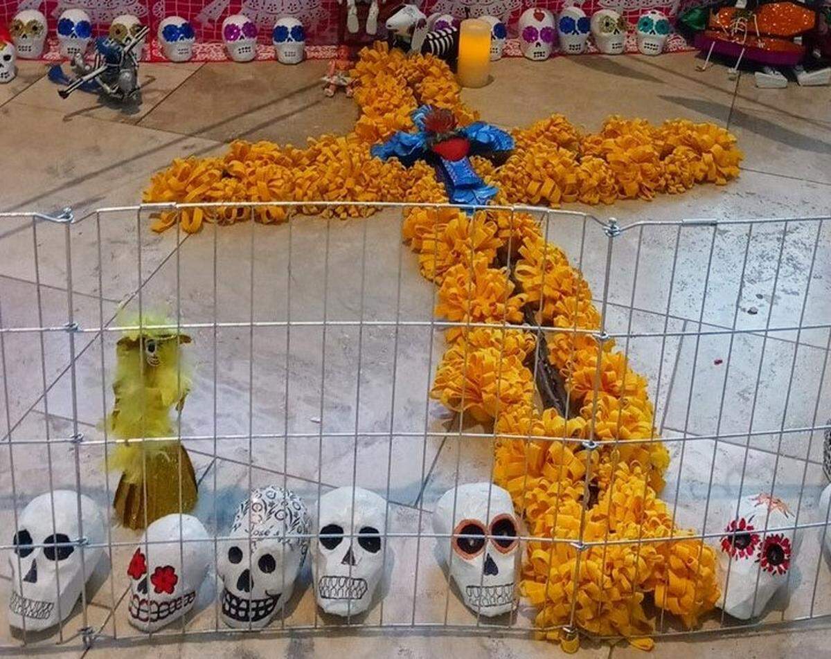 Un grupo de mujeres artesanas en el Condado de Stanislaus pusieron un Altar de Dia de los Muertos en el Teatro Gallo de Modesto que estará en exhibición hasta el 8 de noviembre del 2021.