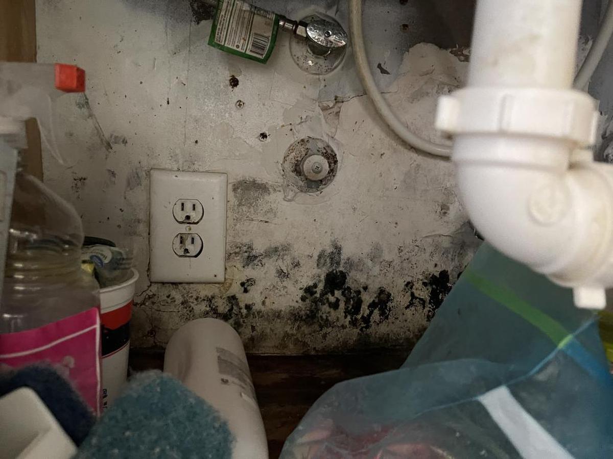 María Rubio, que alquila su casa en Madera, California, dice que el moho en varias habitaciones empeora el asma de sus hijos.