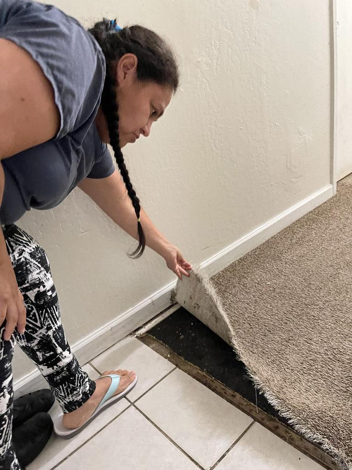 María Rubio de Madera, California, levanta la alfombra de su sala de estar y explica que les causa problemas respiratorios a sus cinco hijos, todos los cuales tienen asma. El polvo y otras partículas se lanzan al aire cada vez que alguien aspira.