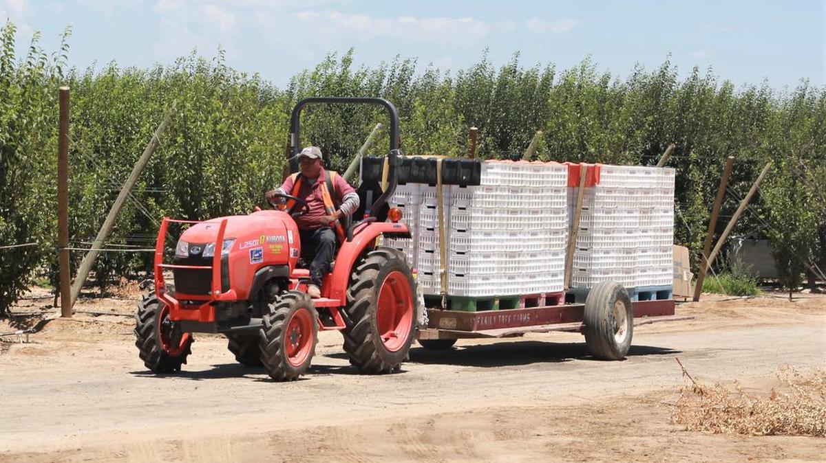 Caravana móvil se asegura que mensajes de derechos laborales lleguen a los trabajadores agrícolas del Valle en cinco condados incluyendo este campo de trabajo en el area de Goshen en el Condado de Tulare el 25 de junio.