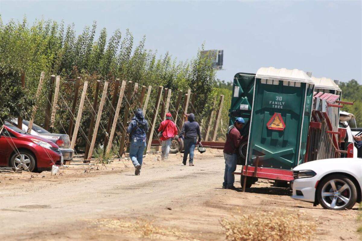 Caravana móvil se asegura que mensajes de derechos laborales lleguen a los trabajadores agrícolas del Valle en cinco condados incluyendo este campo de trabajo en el area de Goshen en el Condado de Tulare el 25 de junio.