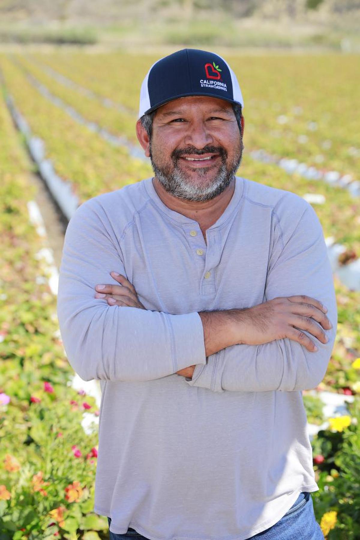 El agricultor Uriel Hernández en su granja de fresas Seacliff Farms, en Oxnard, California.