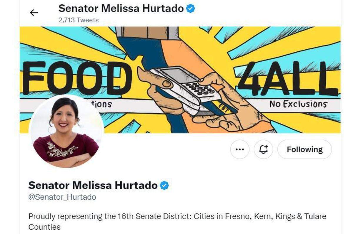 A screenshot of state Sen. Melissa Hurtado’s Twitter page.