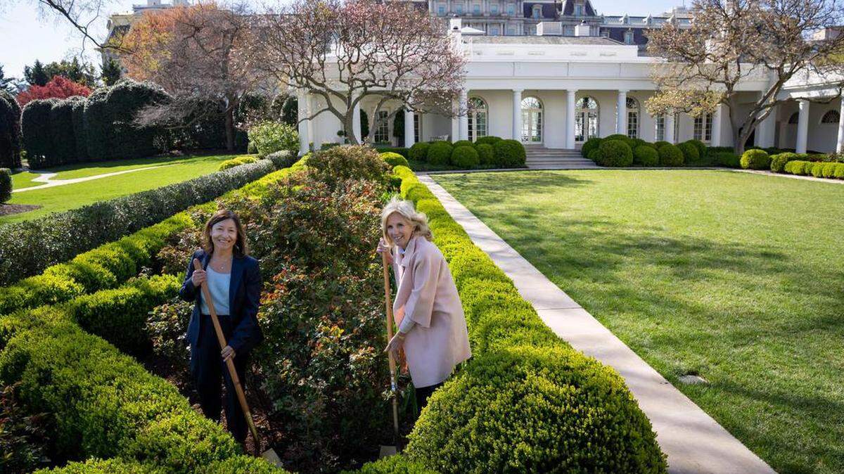 Fotografía divulgada por La Casa Blanca donde aparece la primera dama de Estados Unidos, Jill Biden y Julie Chávez Rodríguez, nieta del líder sindical César Chávez y actual asesora del presidente Joe Biden, plantando rosas rojas en honor a ese defensor de los derechos de los trabajadores del campo en los jardines de la Casa Blanca en Washington, D.C.
