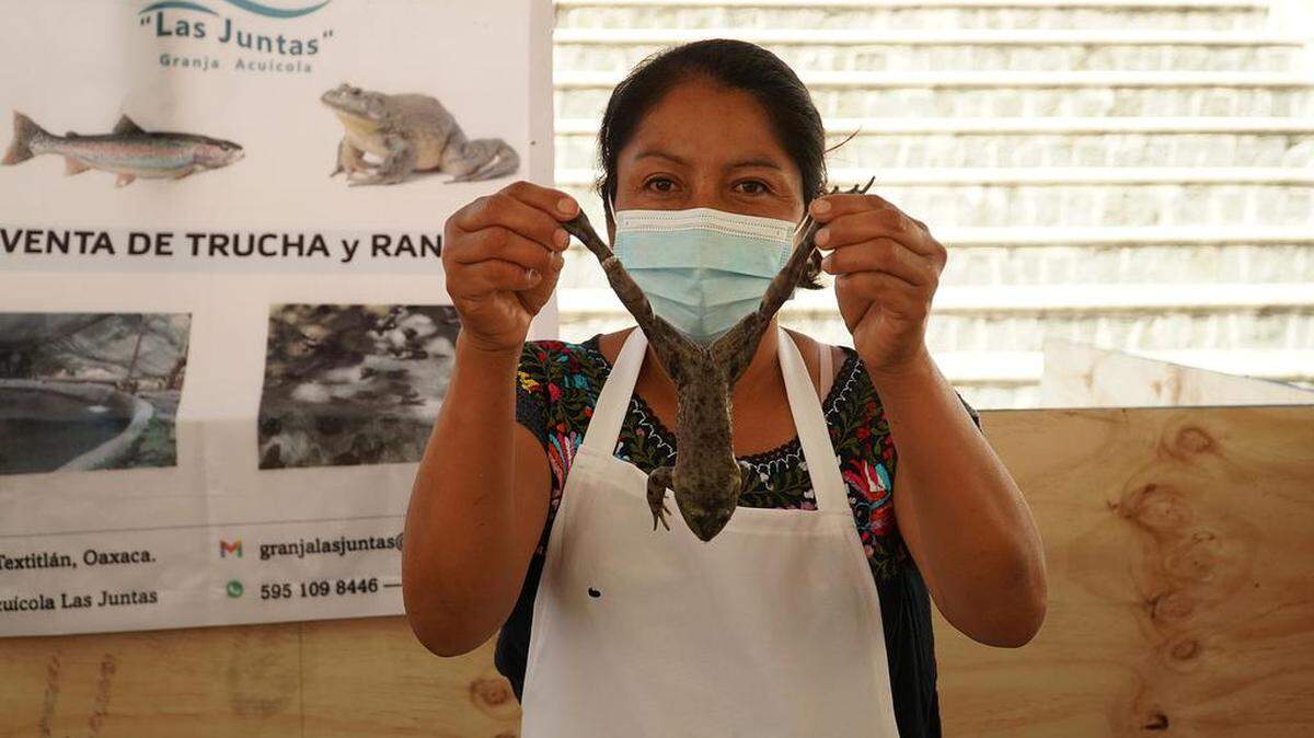 A woman in Santiago Textitlán, Oaxaca shows a frog before preparing a meal. Frogs are gaining popularity as a dish during the Lenten season.