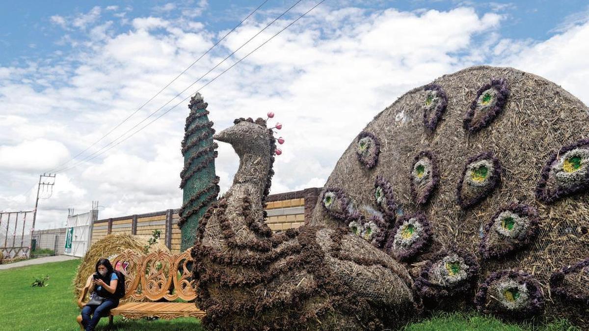 El municipio de Atlixco, en céntrico estado mexicano de Puebla, inauguró entre asombro, admiración y alegría un festival en el que se exponen esculturas de más de 20 metros hechas de paja.