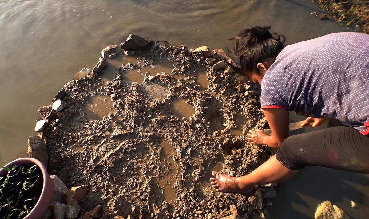 An indigenous woman reforests a mangrove near San Mateo del Mar in Oaxaca.