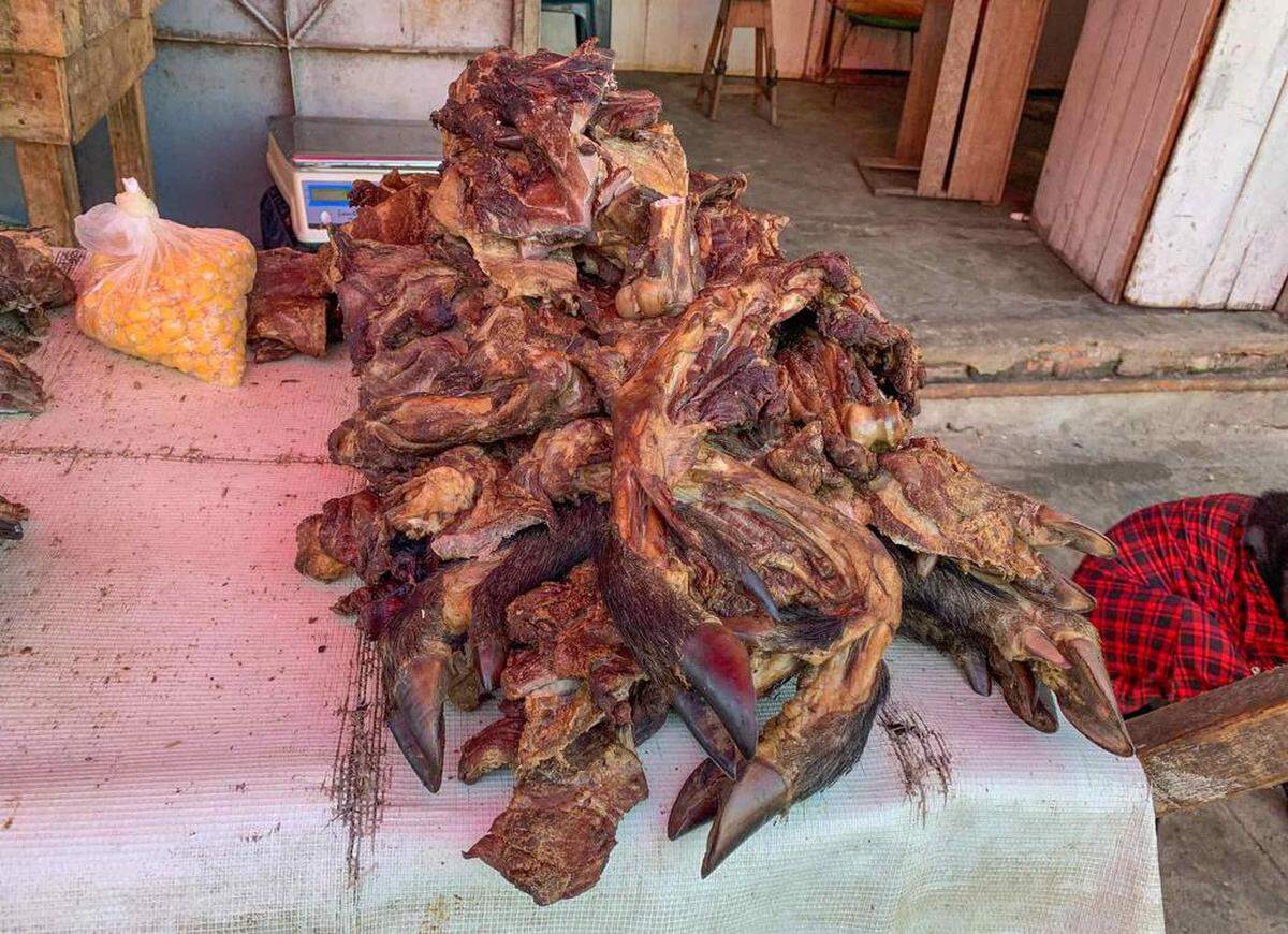 Trozos de carne de enormes lagartos que conservan sus escamas, parejas de pájaros tropicales en jaulas y grandes tortugas vivas, se encuentran sin ninguna dificultad en el atestado mercado de Iquitos, en el corazón de la Amazonía peruana, una muestra de lo normalizado que está el tráfico ilegal de especies silvestres.