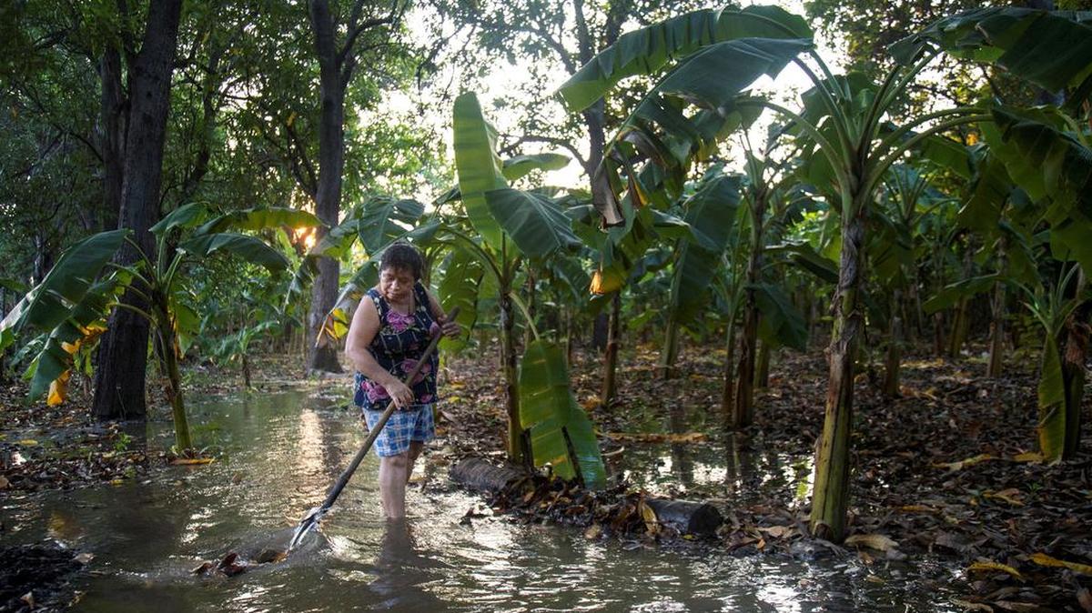 A woman cleans a wetland in the municipality of Tehuantepec, Oaxaca. In full alert due to the drought that has hit northern México for 20 years, nature-based wetlands have become a solution to alleviate the emergency due to lack of water.