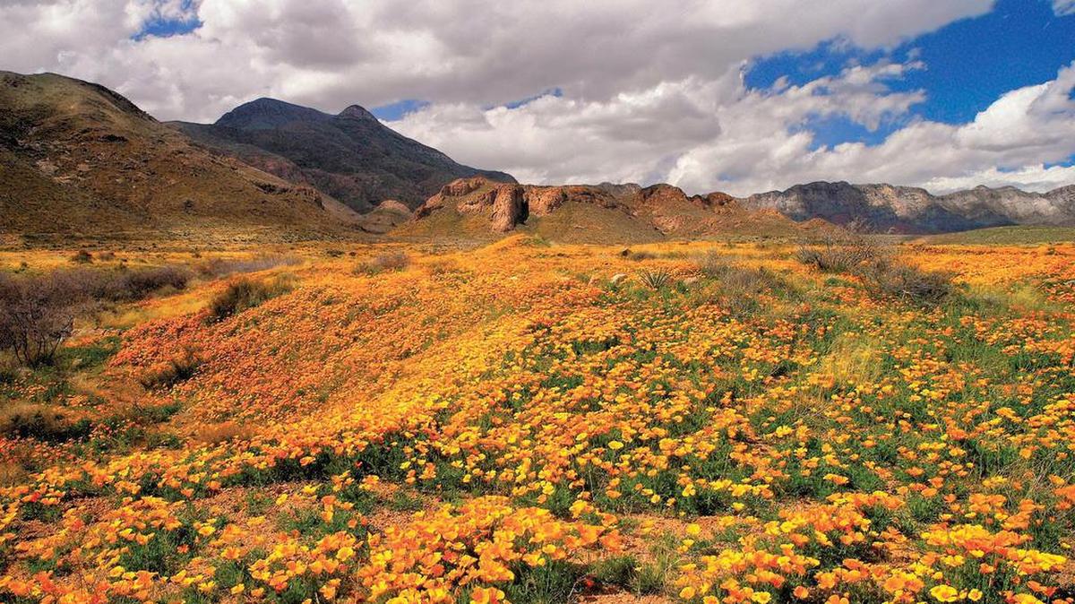 El sitio Castner Range Situado en el corazón de la ciudad de El Paso es una cordillera donde ha vivido la comunidad latina en los últimos años y antes que ellos los nativos americanos que vivieron en esta zona durante 14,000 años.
