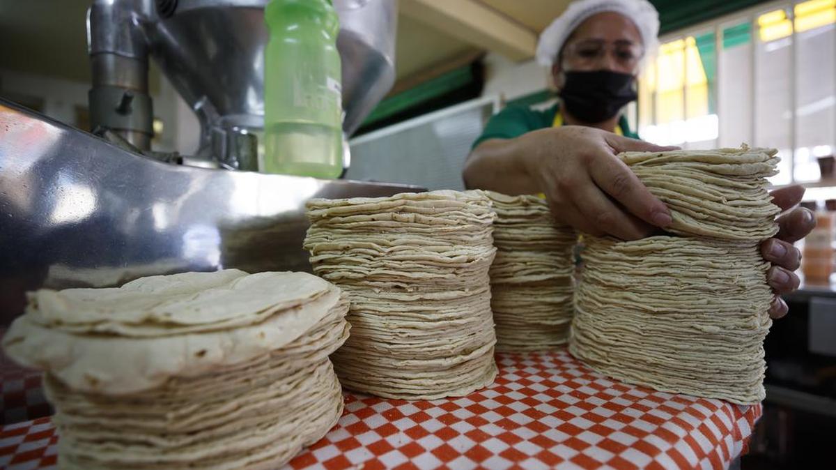 A worker sets up stacks of corn tortillas in a México City tortillería.
