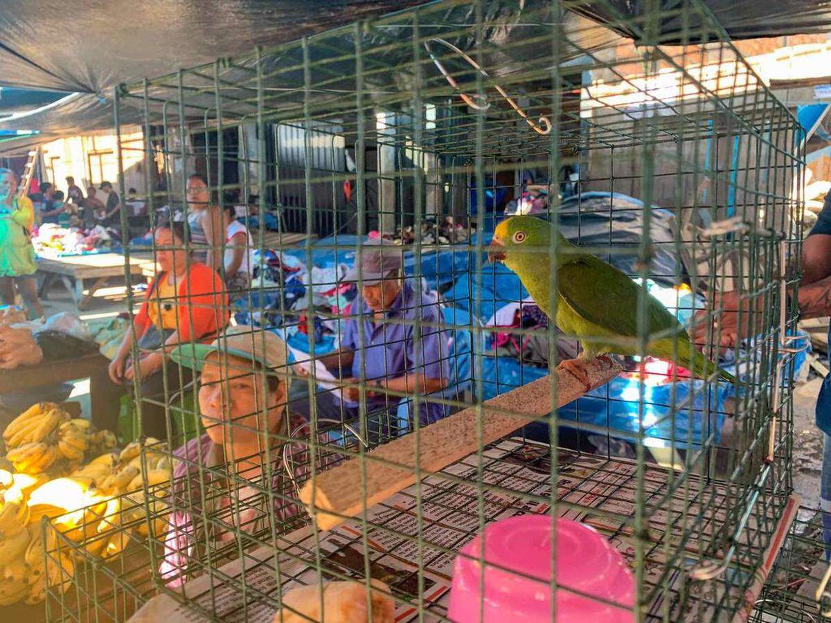 Fotografía que muestra el mercado de Iquitos el 4 de diciembre de 2022, en Iquitos, Perú.
