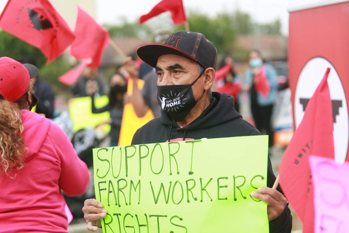 Uno de los manifestantes, Inocencio Cortez, junto a decenas de trabajadores agrícolas de la Fundación UFW, líderes comunitarios y otros simpatizantes y aliados alzaron sus voces en una manifestación en el histórico centro comercial Plaza México la mañana del jueves 31 de marzo pidiéndole a Newsom su apoyo a la ley.